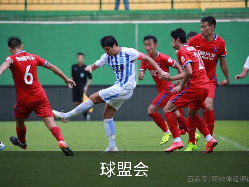 球盟会介绍